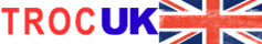 top-ranked-online-casinos.com